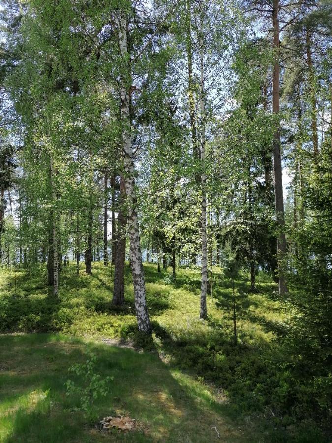 Bed and Breakfast Birgittagarden - Gaesthem - Birgittasystrarna Falun Esterno foto