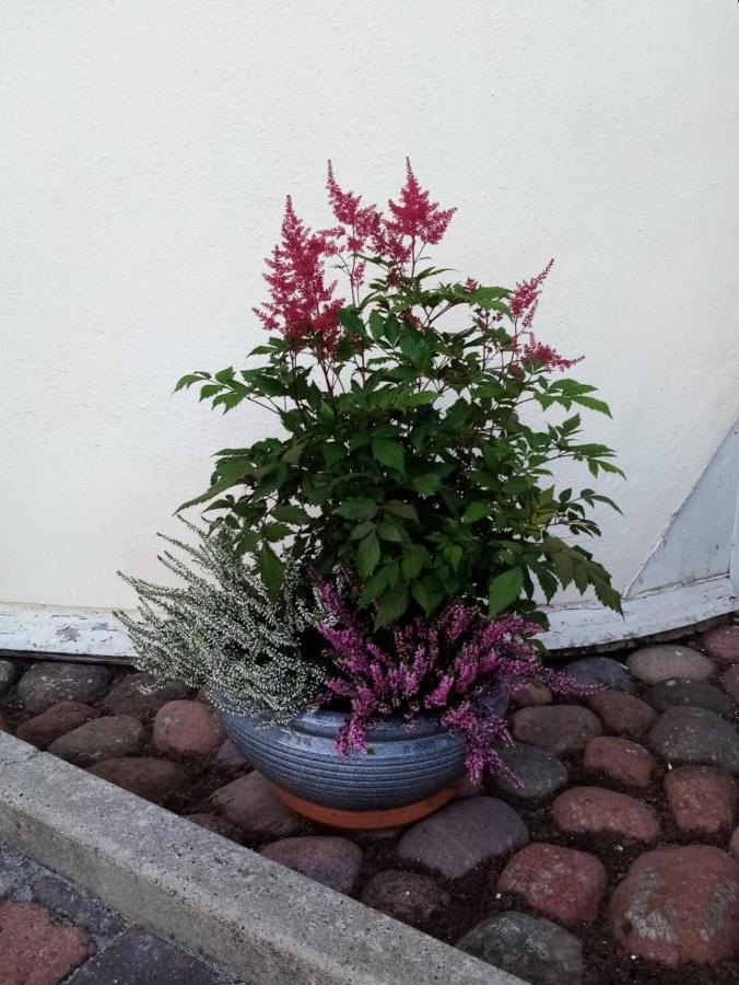 Bed and Breakfast Birgittagarden - Gaesthem - Birgittasystrarna Falun Esterno foto